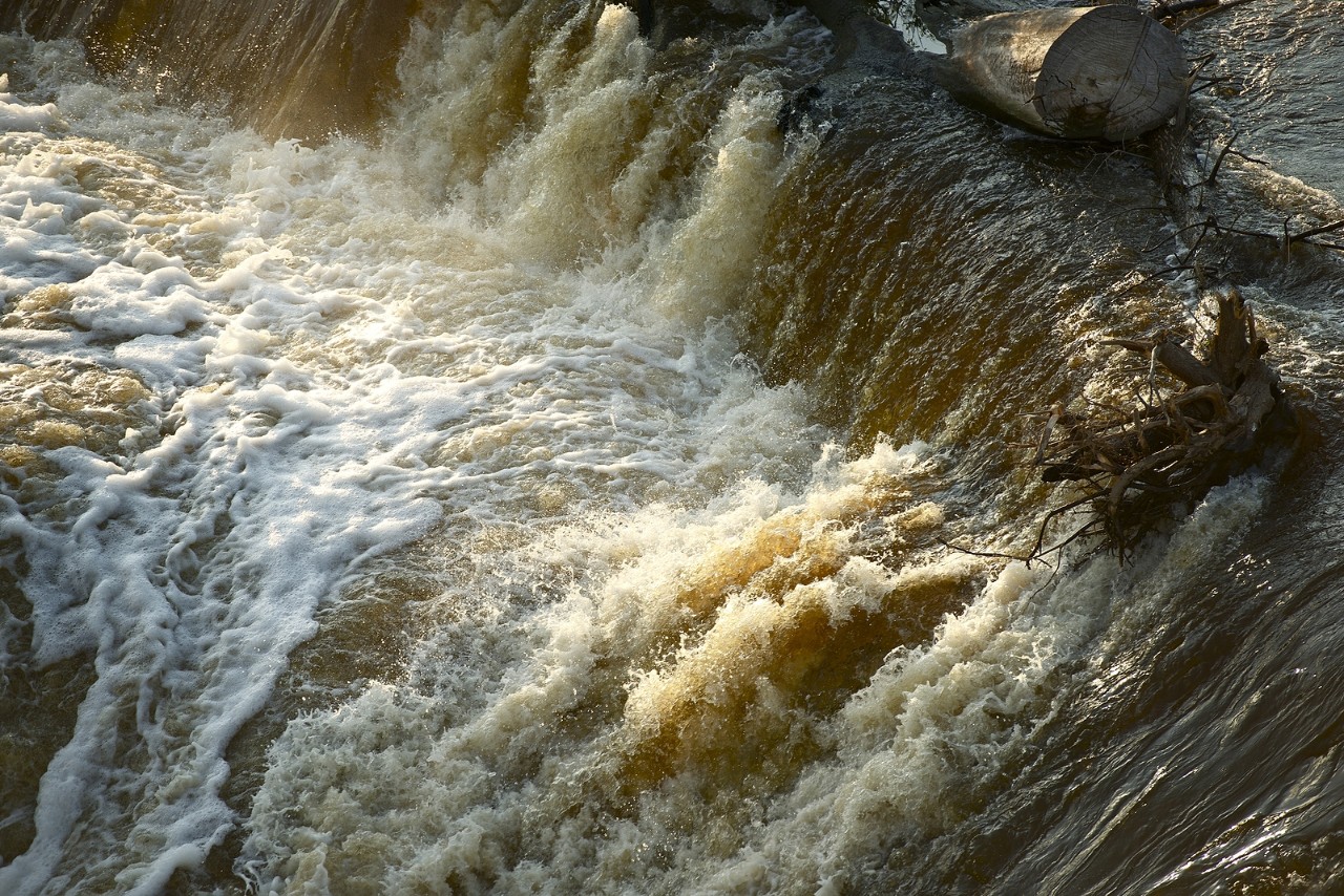 Flood Disaster - Rushing Dark Dirty Waters During Flash Flood. Nature Disasters Photo Collection.