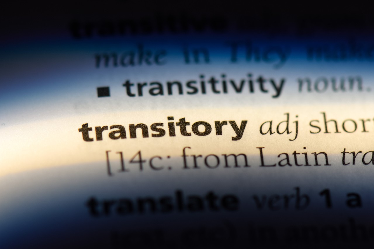 transitory word in a dictionary. transitory concept.